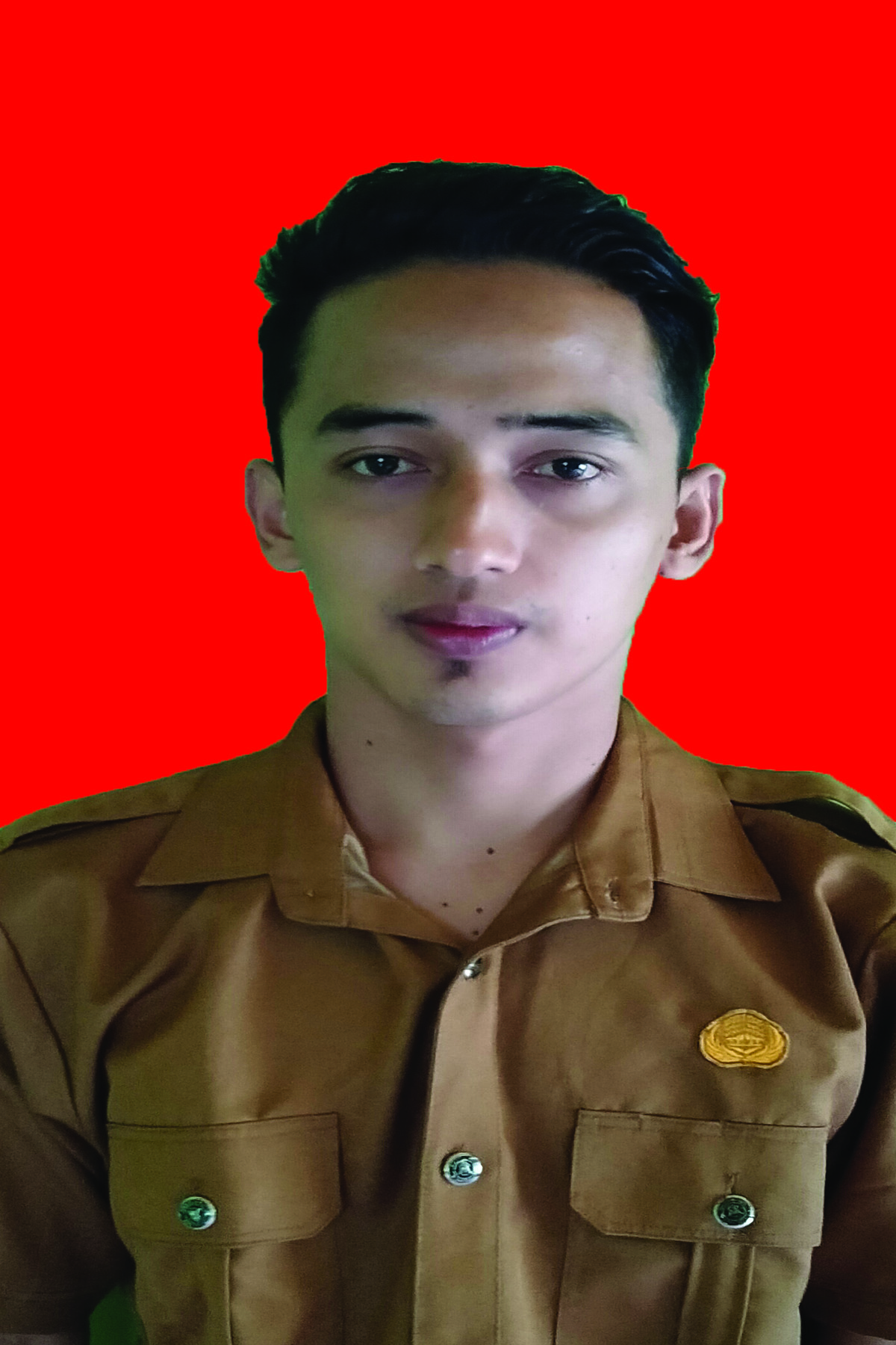 DANDI